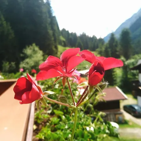 Haus Waldheim 3* Sankt Leonhard im Pitztal