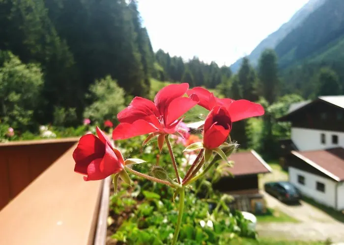 Haus Waldheim 3* Sankt Leonhard im Pitztal